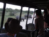 Kruger safari tours