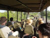 Kruger National Park safaris