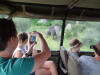Kruger Park tours